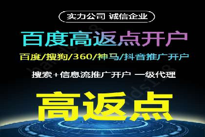 行业领先企业的SEM运营策略案例解析